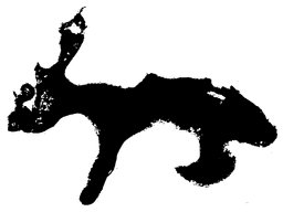 store_logo